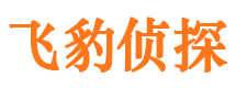 桦川市婚姻调查